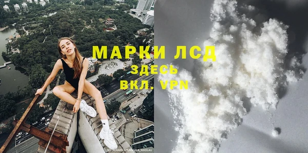 стаф Алзамай