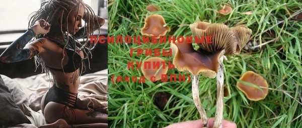 прущая мука Абаза