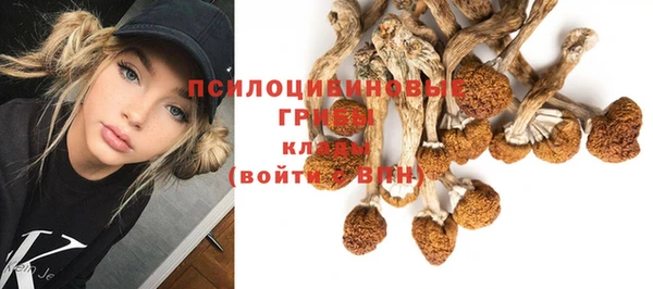 дживик Алексин